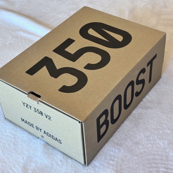 Adidas YEEZY BOOST 350 V2 in Salt HQ2060 ------------ SIZE 10M! - Picture 11 of 11